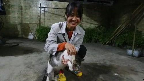 抓鱼视频爆料大全,揭秘水下奇观与神秘故事