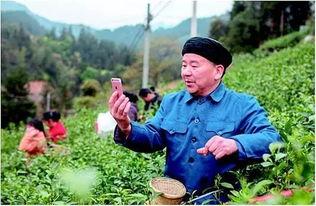 农民网红爆料视频播放大全,田间地头变身网络红人